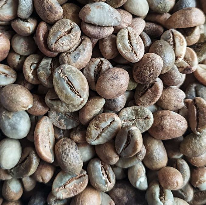 ROBUSTA GREEN COFFEE BEAN